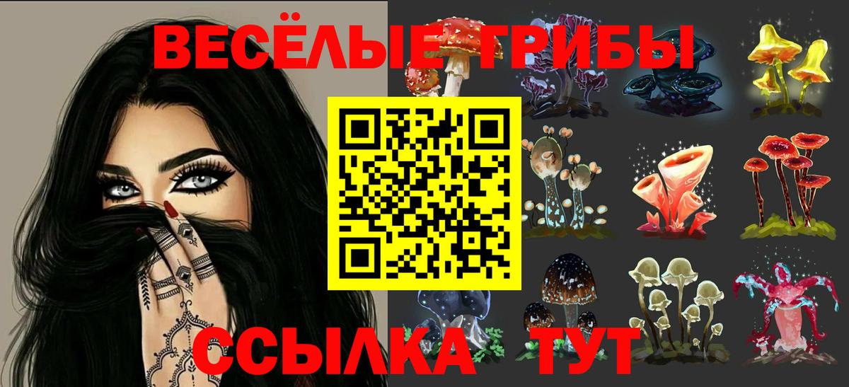 что такое   Вход с VPN  Мегион  Псилоцибиновые грибы прущие грибы 